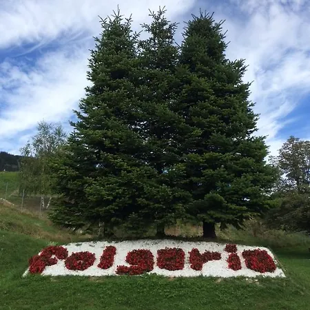 Park Miramonti 3*